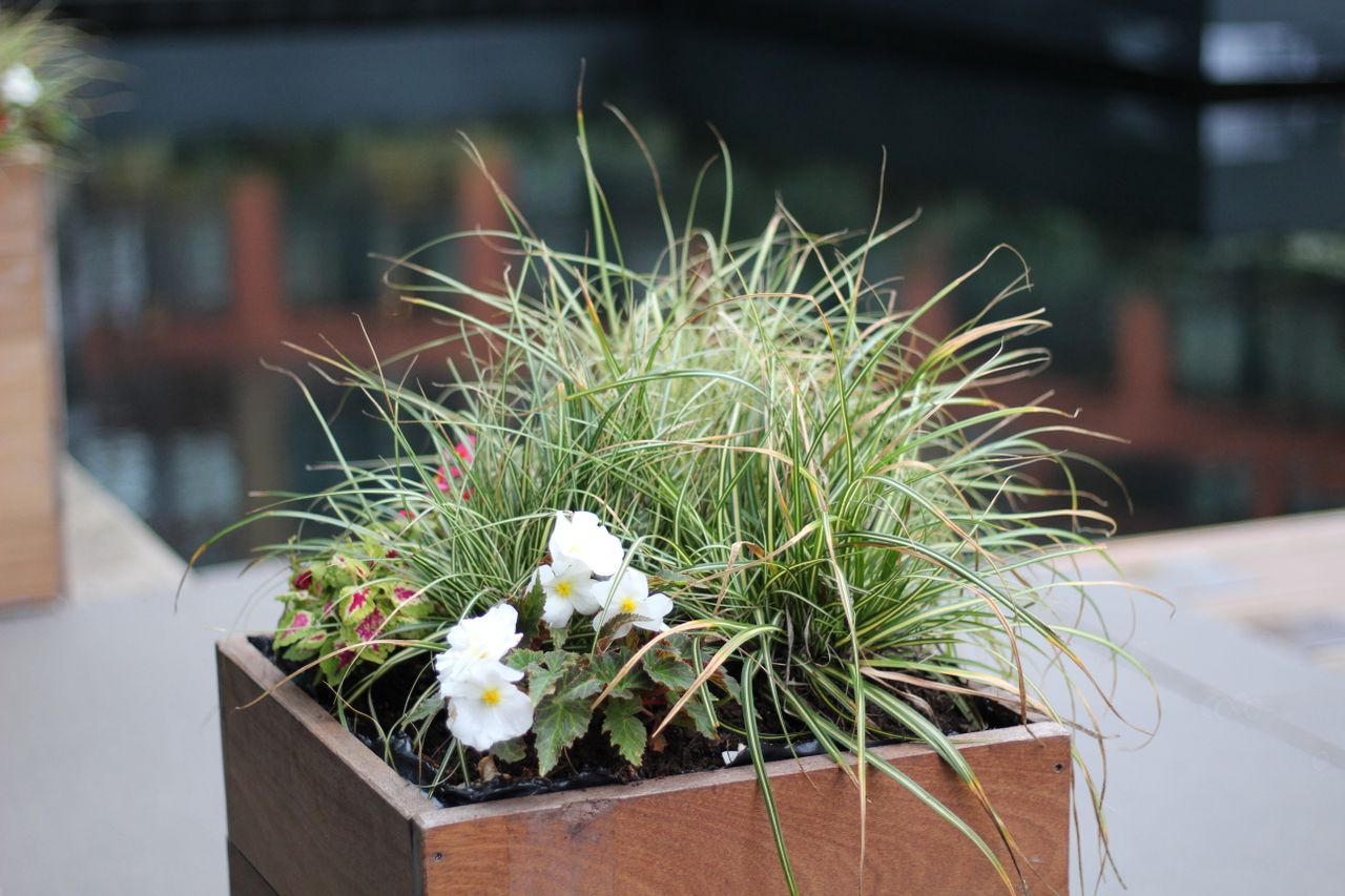 Jardinière-claustra terrasse restaurant